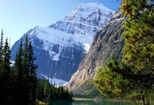 科维托娃官方宣布最后时刻胜出新规，塞尔维亚队引发争议！